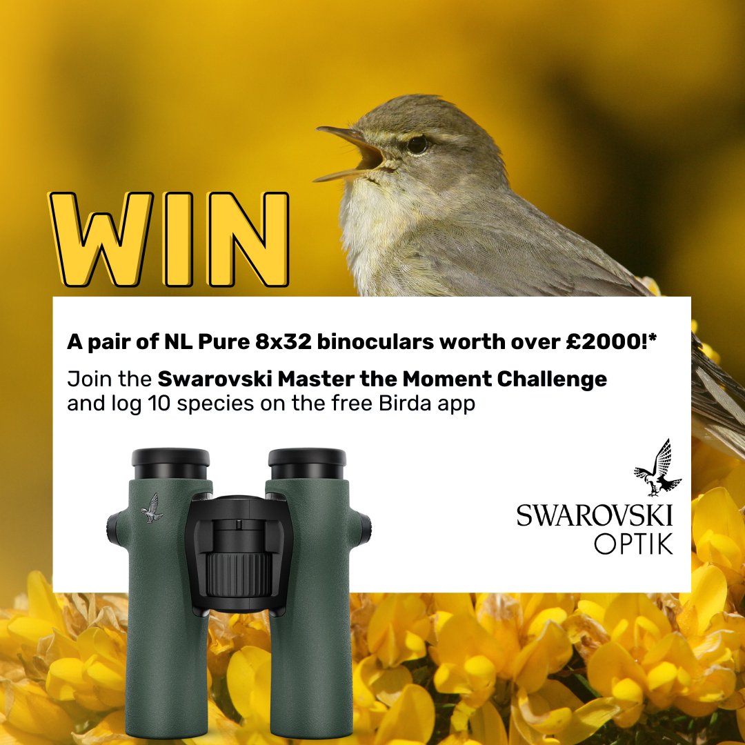 Hey Spring, nature’s calling.
Log 10 species on <a href="/birda_org/">Birda</a>  &amp; you’re in to win <a href="/SwarovskiOptik/">SWAROVSKI OPTIK</a> binoculars worth £2000 👀

#birdwatching #springchallenge #SwarovskiOptik #BirdaApp #birding