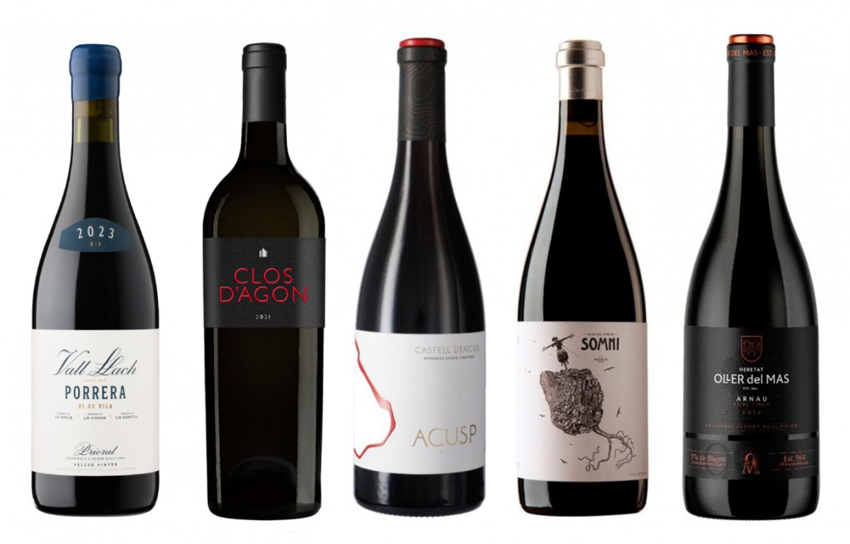 👉 Ni Bordeus ni Borgonya: Cinc vins negres catalans per competir a nivell mundial... #vinscatalans #vinegre
cupatges.cat/tendencies-vi/…