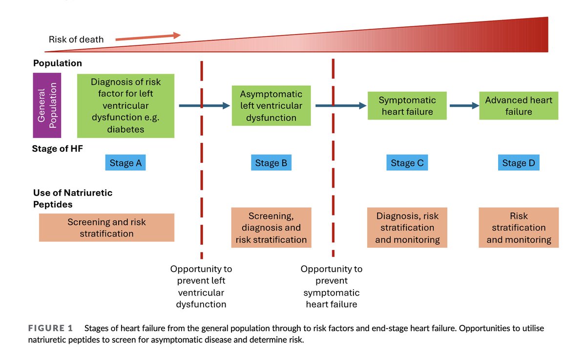 Prof Kamlesh Khunti (@kamleshkhunti) on Twitter photo Nice review by Pardeep Jhund
Use of NT-proBNP for the screening, diagnosis and risk-stratification of left ventricular dysfunction
…ubs.pericles-prod.literatumonline.com/doi/10.1111/do…
<a href="/mmamas1973/">Mamas A. Mamas</a> Nice review by Pardeep Jhund
Use of NT-proBNP for the screening, diagnosis and risk-stratification of left ventricular dysfunction
…ubs.pericles-prod.literatumonline.com/doi/10.1111/do…
<a href="/mmamas1973/">Mamas A. Mamas</a>