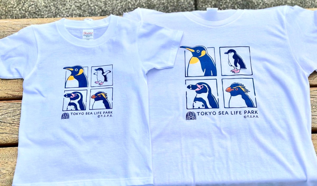ギフトショップから新商品のお知らせ🐧 今年度のTシャツが入荷いたし