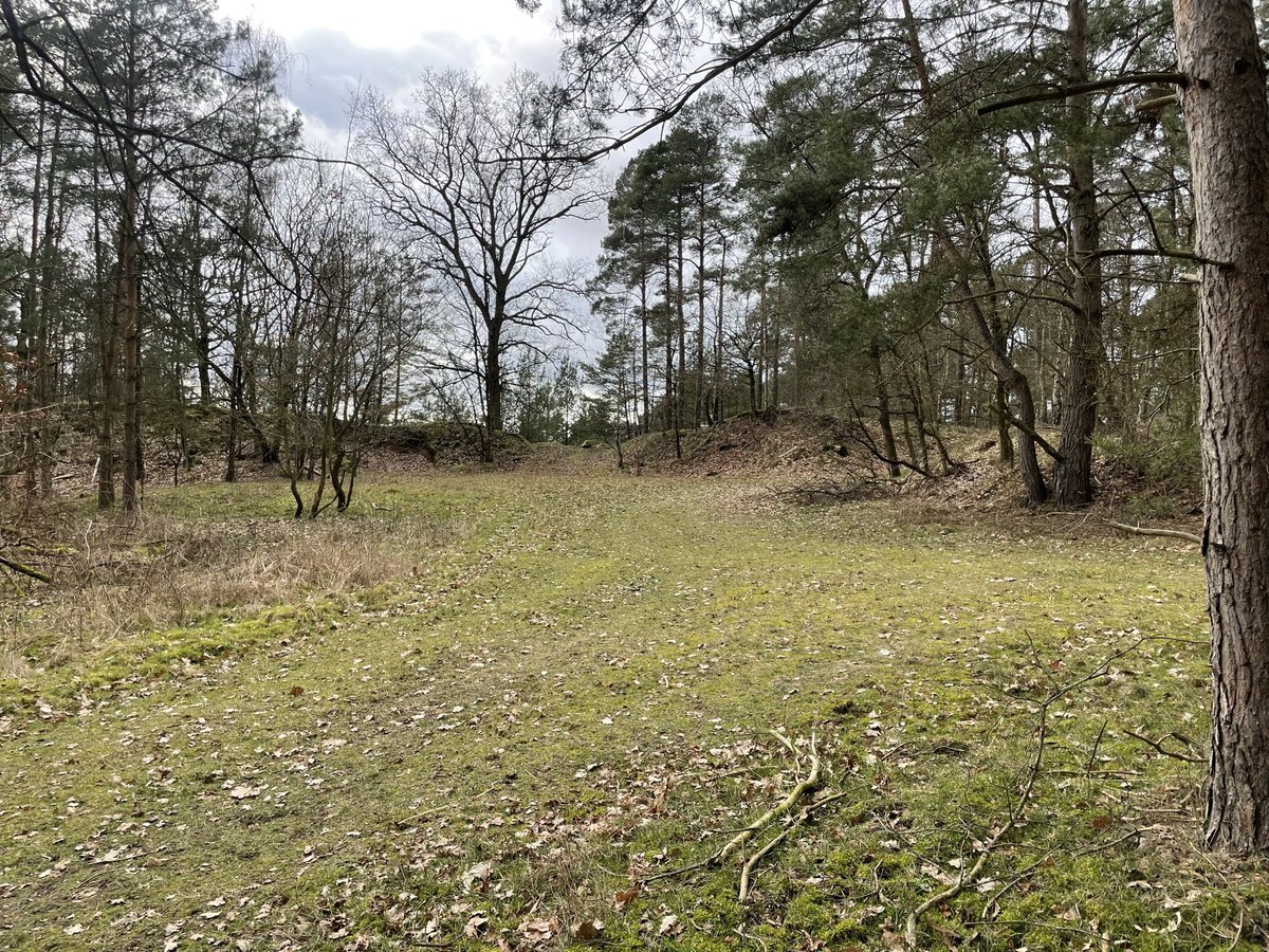 AndyAitcheson's tweet photo. OTD 15/04/45 Peter White led his platoon, into a block of woods near the small German village of Gross Eilstorf. About 1900hrs, as the sun was setting they ran into an ambush.  At less than 30yds range 3 men were hit, Peter narrowly avoided the same fate by inches. 

The location of the ambush has long fascinated me and working with @rentaquill we managed to track it down. 

If you join us and @bhltours in October we’ll follow Peters route to the ambush site. https://t.co/mD3b389Gjo