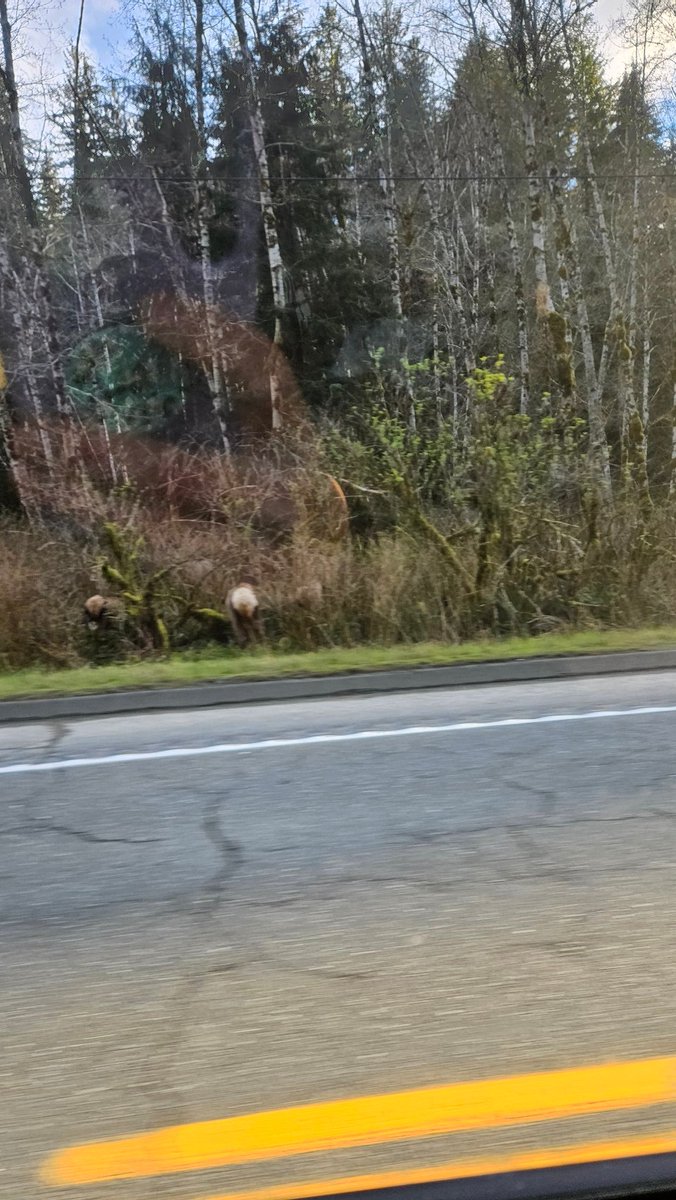 Today..I saw Elk booty 🫠🤣🖤