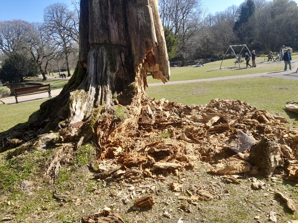HighPeakBC's tweet photo. The tree stump sculpture next to the children's playground in Pavilion Gardens will be removed for safety reasons tomorrow, Wed 16 April.

It will be carefully removed and taken to a local park and allowed to rot down naturally. https://t.co/Ny2mpVGcLu