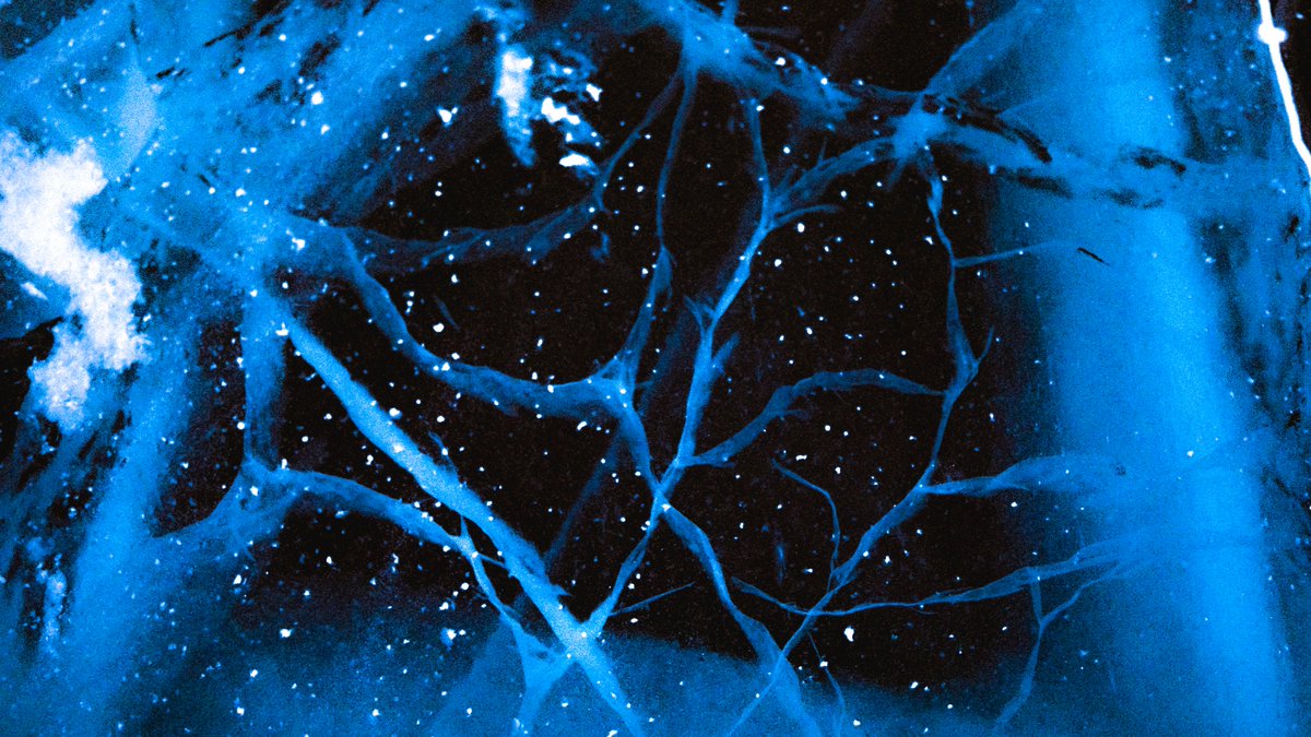 Eamon 🌃 tweet media