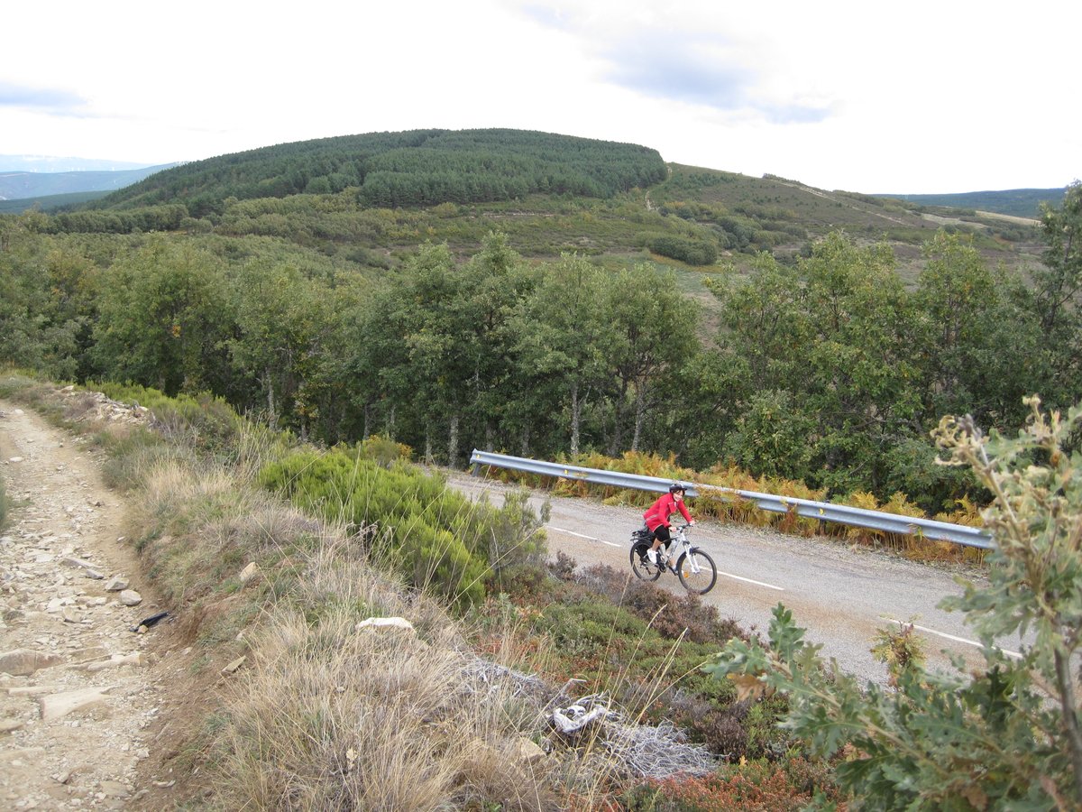 TheWayExp's tweet photo. Cycle the legendary #CaminoDeSantiago 🚴‍♂️

👉 https://t.co/4UPpTCQOxq
#CyclingCamino #StJamesWay #BikeSpain #AdventureTravel https://t.co/3tjmdPLbiP