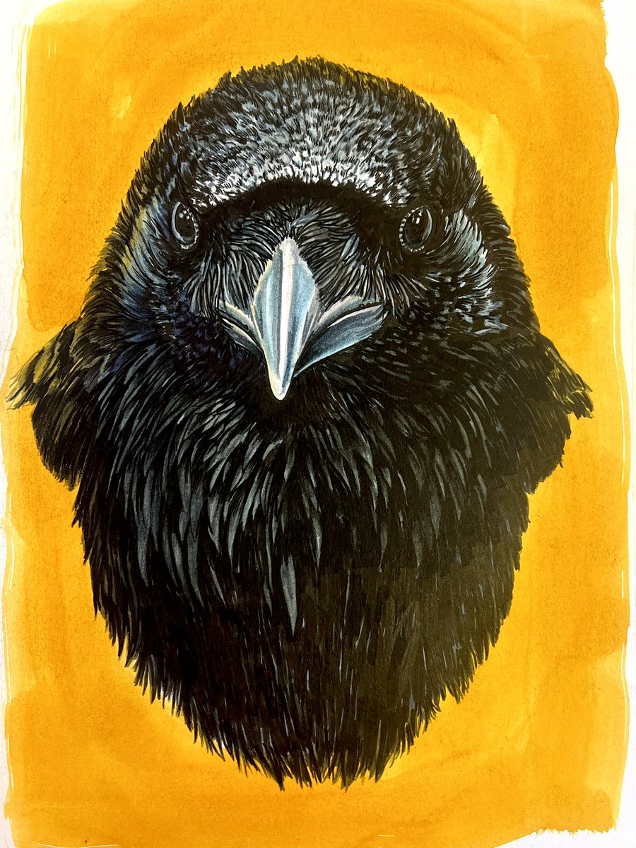 AtelierGeeraets's tweet photo. Tekening gemaakt. Het is een raaf.

‘Buste’
29,7 x 21 cm
Inkten op papier

Retweet is lief. https://t.co/uRP5rJaGWg