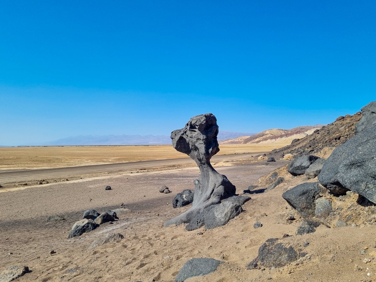 International Association of Geomorphologists tweet media