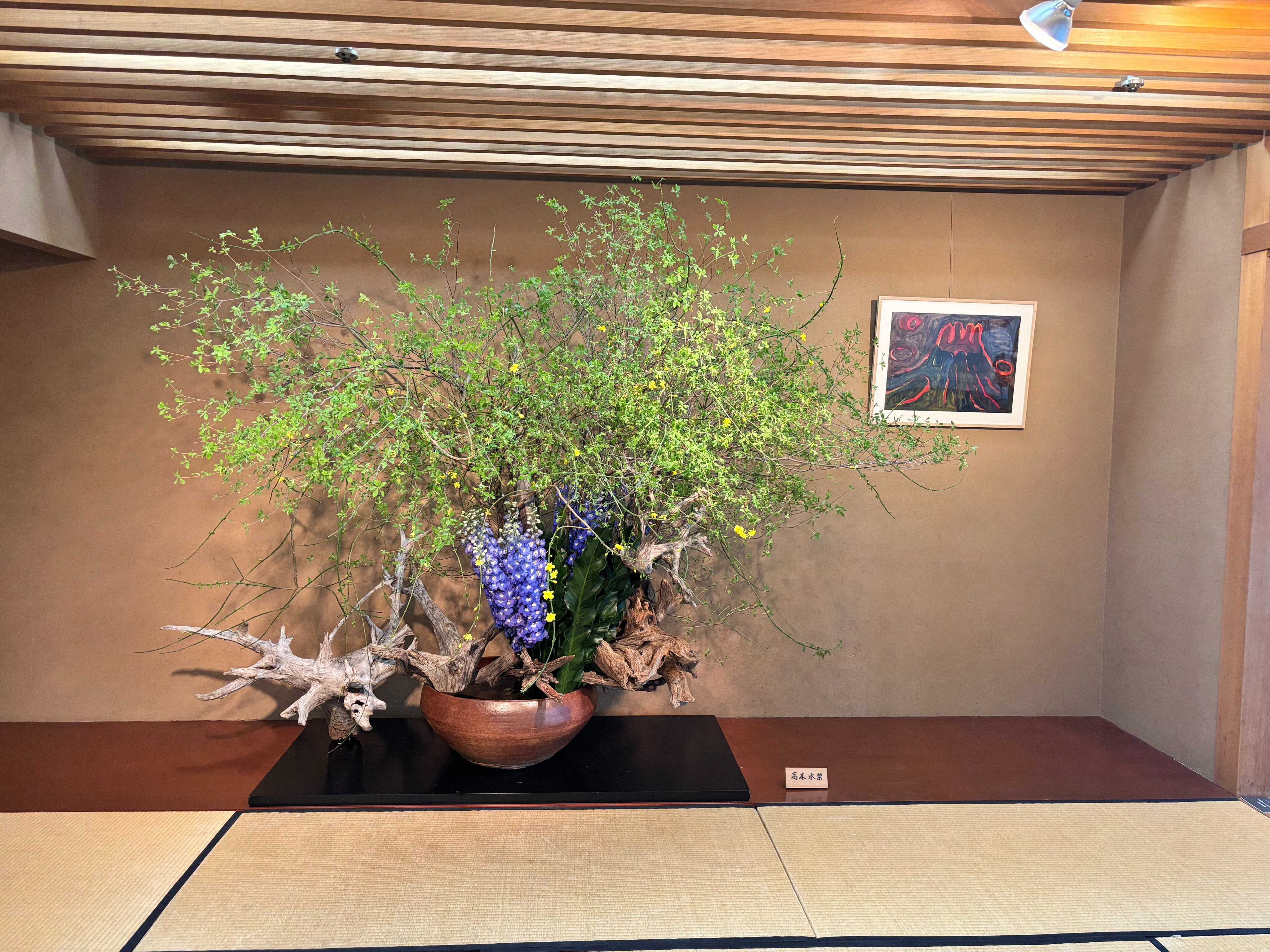 いけばな草月流 (@Ikebana_sogetsu) / X いけばな草月流 (@Ikebana_sogetsu) / X