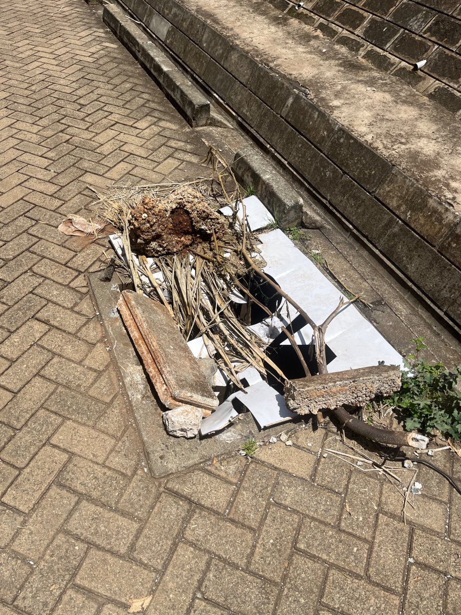 miano's tweet photo. @KURAroads Oliotoktok Road has a bunch of open storm drains that are very dangerous for pedestrians. See photos attached. https://t.co/LCc2CwIITW