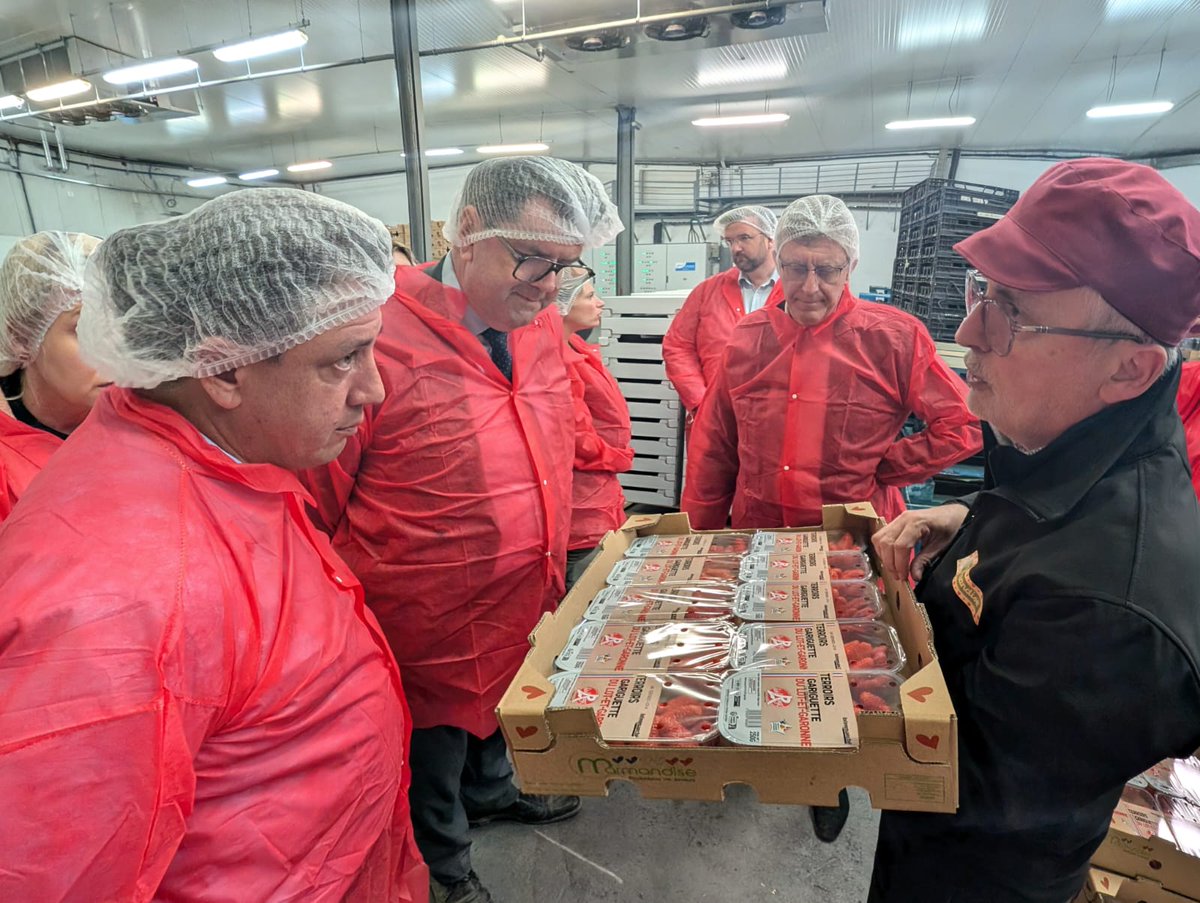 La filière française de la fraise, dont le 47 est le 1er producteur, est elle aussi confrontée aux conséquences de la surtransposition normative en matière d'usage des #phytosanitaires. Voter la #PPLDuplomb est une urgence vitale pour notre #agriculture et notre souveraineté !
