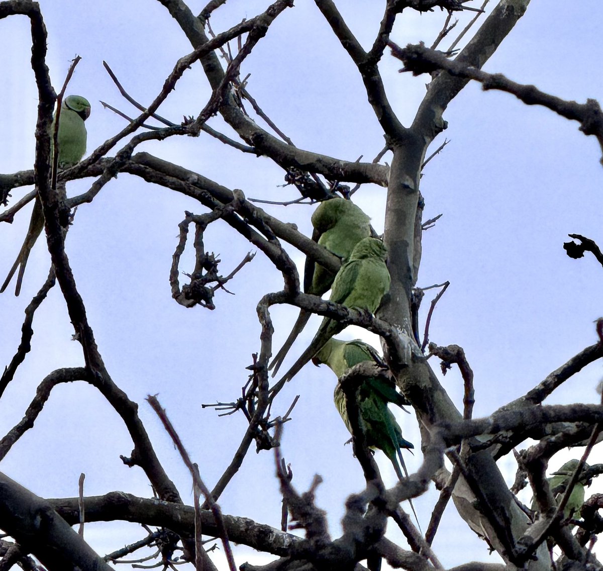 геральт из бохума tweet media