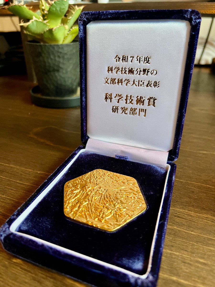 T. M໐ri tweet media