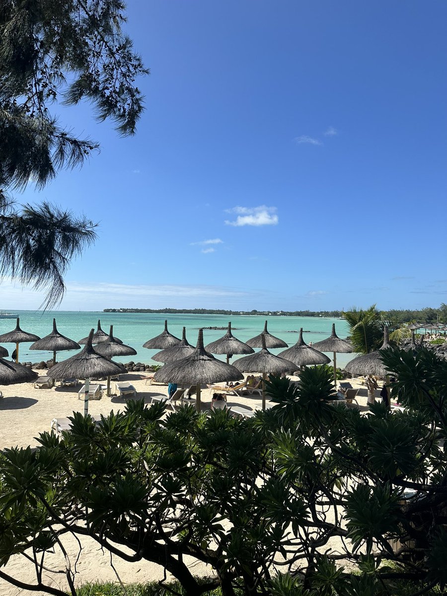 wheato_5's tweet image. Morning