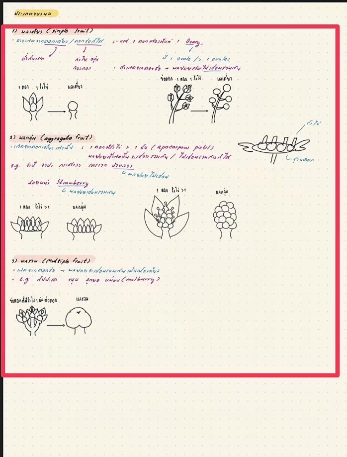 jabzkapa5 tweet media