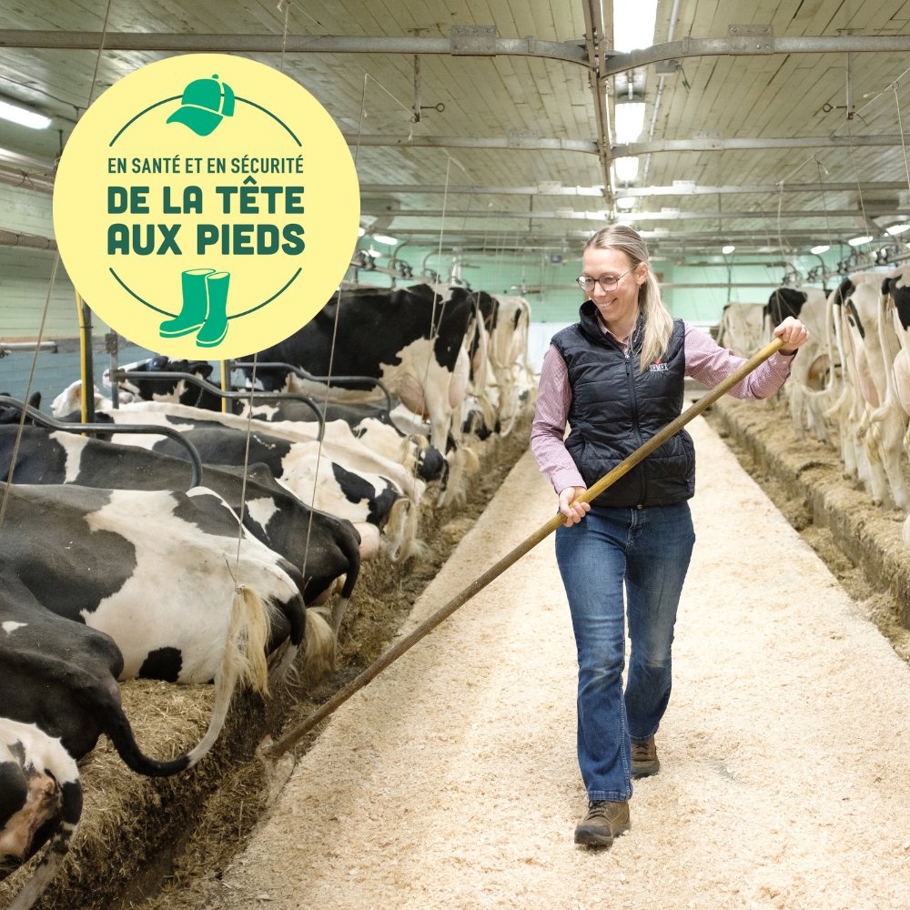 Nous soulignons la Journée de la santé, de la sécurité et du mieux-être en agriculture, une initiative essentielle portée par l'<a href="/upaqc/">UPA</a>. Dans un contexte où les réalités du travail agricole sont exigeantes, il est important de sensibiliser autour de ces enjeux humains.💚👏