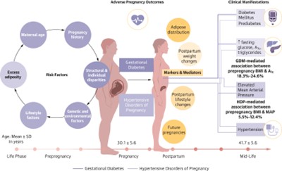 Inova Schar Heart and Vascular (@ishvnews) on Twitter photo The role of pre-pregnancy obesity & APOs in mid-life CVD risk is explored by Borrowman et al in #JACC.
Editorial by <a href="/BrazileTiffany/">TiffanyBrazile</a> <a href="/GarimaVSharmaMD/">Garima Sharma M.D</a>, TM Powell-Wiley provides further insights
<a href="/coconnormd/">Christopher O'Connor</a>
jacc.org/doi/10.1016/j.… edit
jacc.org/doi/10.1016/j.… paper The role of pre-pregnancy obesity & APOs in mid-life CVD risk is explored by Borrowman et al in #JACC.
Editorial by <a href="/BrazileTiffany/">TiffanyBrazile</a> <a href="/GarimaVSharmaMD/">Garima Sharma M.D</a>, TM Powell-Wiley provides further insights
<a href="/coconnormd/">Christopher O'Connor</a>
jacc.org/doi/10.1016/j.… edit
jacc.org/doi/10.1016/j.… paper