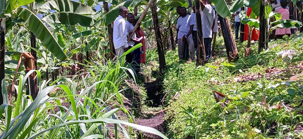 CommonGround Project (@commongroundug) on Twitter photo Another group of farmers from Itojo community in <a href="/NtorokoD/">NTOROKO DLG</a> are in Bukiika-Kigabi community in <a href="/BunyangabuDLG/">Bunyangabu District Local Government</a> for a learning visit of the PIP winning groups to enhance adoption of better farming practices <a href="/NLinUganda/">Embassy of the Netherlands in Uganda</a> <a href="/WURenvironment/">WUR Environmental</a> <a href="/ISSDUganda/">ISSD Uganda</a> <a href="/Aidug2007/">Albertine Interventions for Development (AID)</a> Another group of farmers from Itojo community in <a href="/NtorokoD/">NTOROKO DLG</a> are in Bukiika-Kigabi community in <a href="/BunyangabuDLG/">Bunyangabu District Local Government</a> for a learning visit of the PIP winning groups to enhance adoption of better farming practices <a href="/NLinUganda/">Embassy of the Netherlands in Uganda</a> <a href="/WURenvironment/">WUR Environmental</a> <a href="/ISSDUganda/">ISSD Uganda</a> <a href="/Aidug2007/">Albertine Interventions for Development (AID)</a>