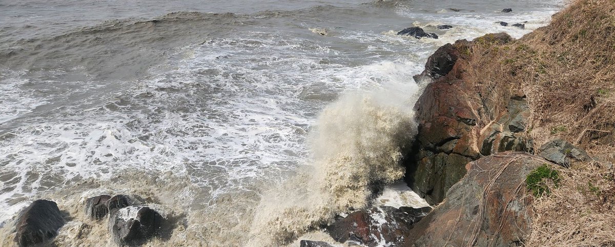 고래🐋 알🥚 (@goraearl) on Twitter photo 