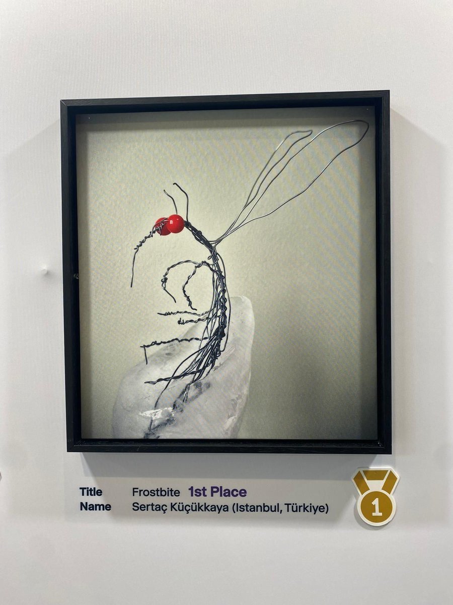 esgvh_escmid's tweet photo. ESGVH members are not only incredibly smart healthcare professionals but also very talented artists!

🎨🤍 Here's a glimpse of artwork from our members, at #ESCMIDGlobal 2025

Sertac Küçükkaya
Selma Habibovic
Eren Öztürk
Özlem Türkmen Recen 

@esgvh_escmid 
@ESCMID https://t.co/2bb2mad7lM