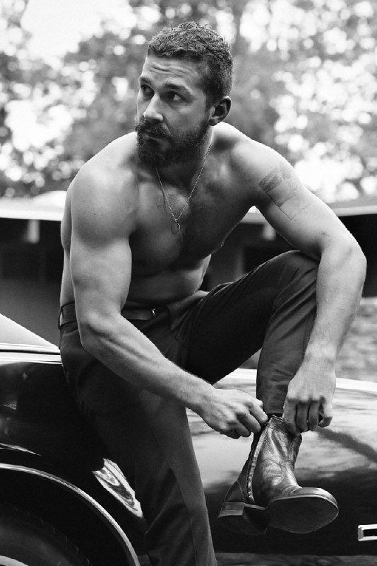 Masculine Beast tweet media
