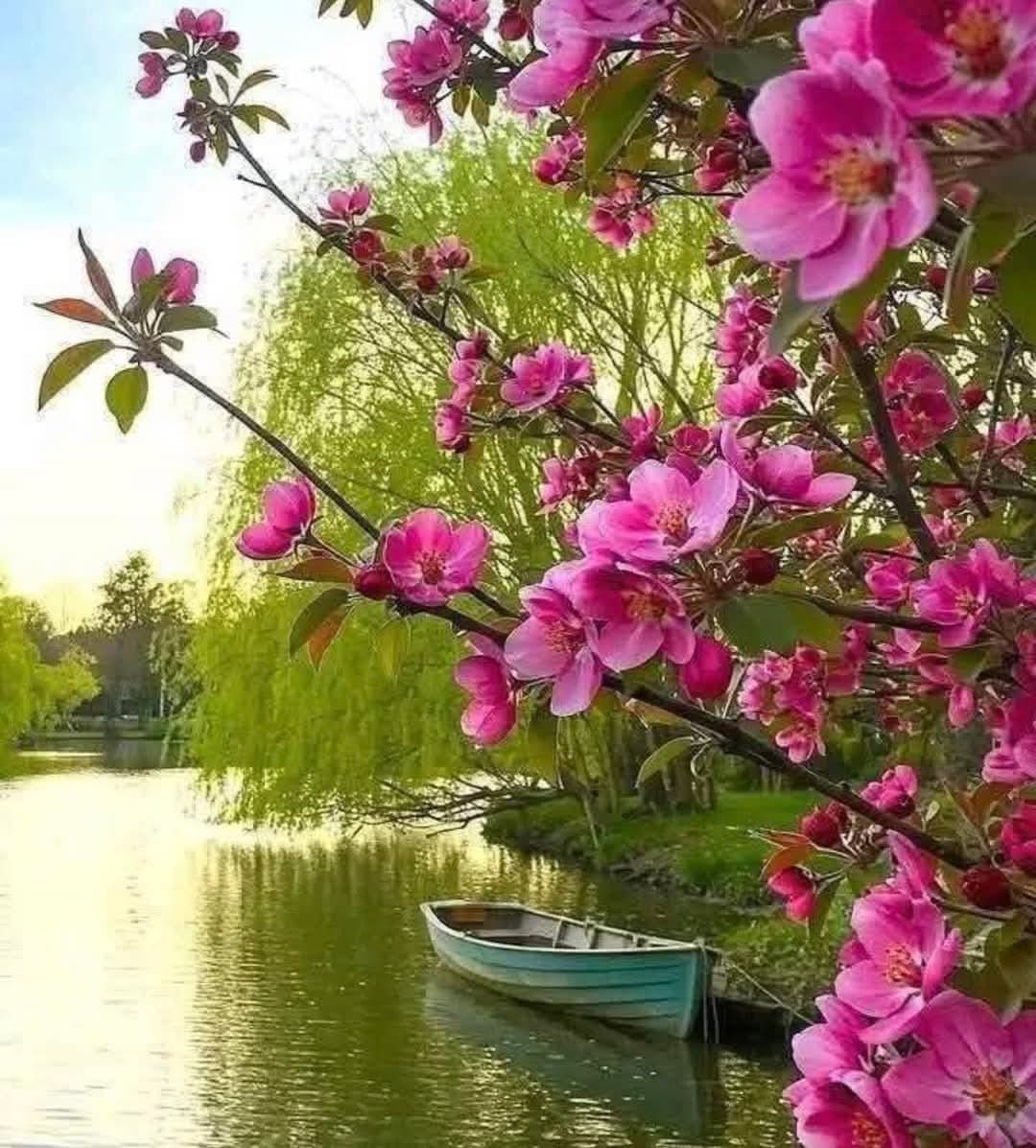 <a href="/LCipolla66067/">anna</a> Meravigliosa giornata 
🌸🌾🍃🌾🌸🍃