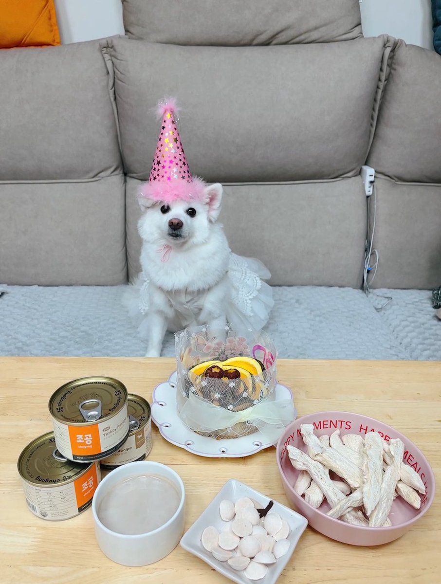 happydaengoo's tweet photo. 몽블랑 5살 생일&amp;입양절 https://t.co/lA6xIV94Wa