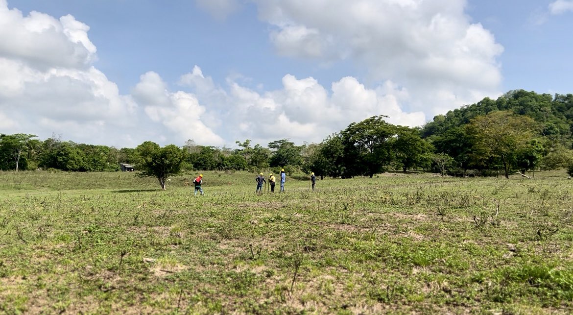 senaencordoba's tweet image. ¡Las obras del nuevo SENA en Ciénaga de Oro no se detienen!
Muy pronto, este territorio contará con una sede que llevará formación, empleo y desarrollo a cientos de jóvenes y comunidades de la región del medio Sinú Cordobés .

#SENACórdoba #CiénagaDeOro #FormaciónQueTransforma