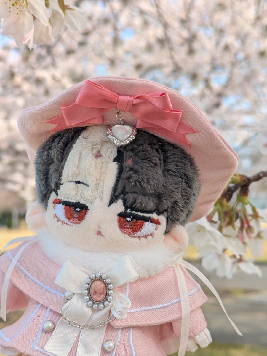 kiranui_dolls's tweet photo. ペトは桜の妖精だ https://t.co/SWvQfkn2gh