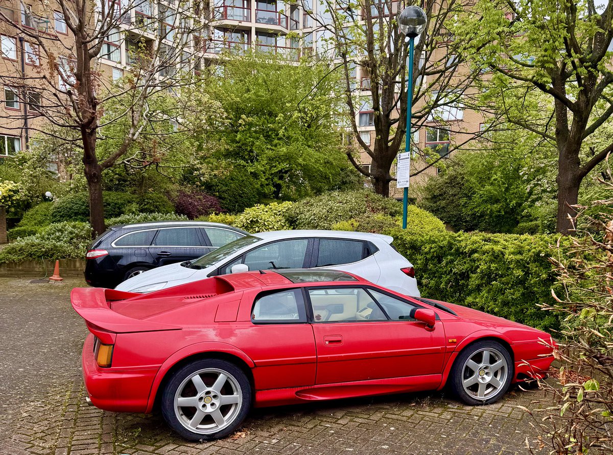 See this local beauty week after week.  It never moves but I really hope one day it will #Lotus