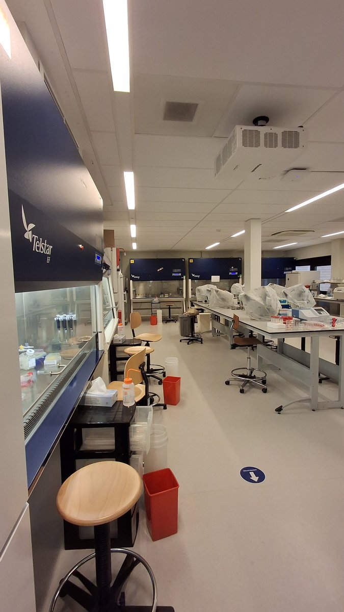 Maria Antònia Forteza Genestra tweet media