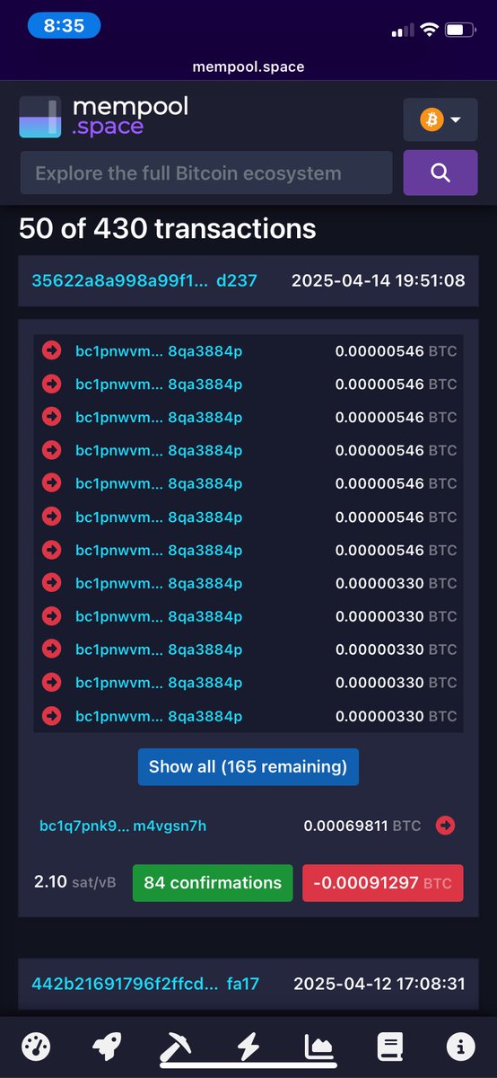 tonito ⛺️ tweet media