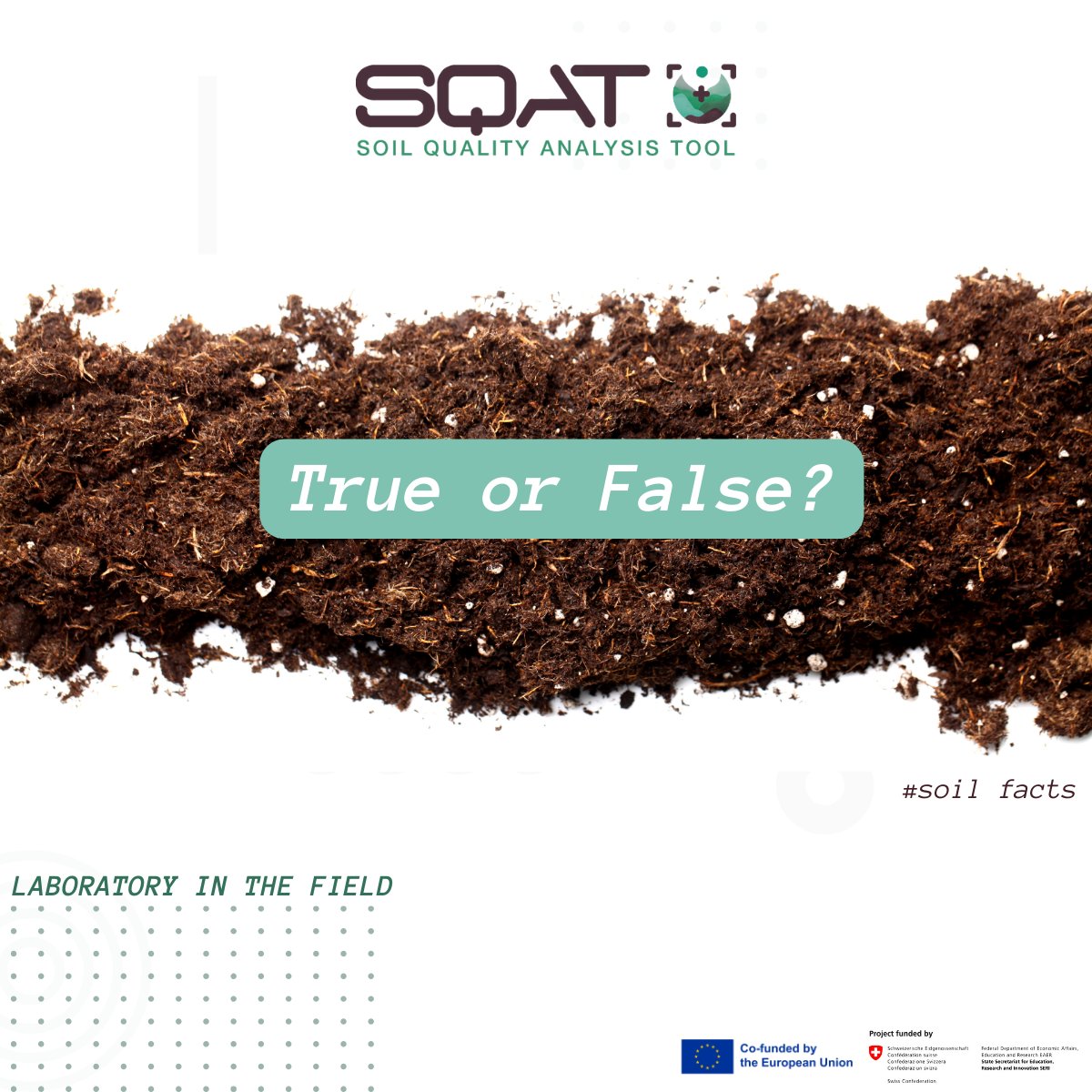 🌱 𝗦𝗼𝗶𝗹 𝗵𝗼𝗹𝗱𝘀 𝗺𝗼𝗿𝗲 𝗰𝗮𝗿𝗯𝗼𝗻 𝘁𝗵𝗮𝗻 𝘁𝗵𝗲 𝗮𝘁𝗺𝗼𝘀𝗽𝗵𝗲𝗿𝗲 𝗮𝗻𝗱 𝗮𝗹𝗹 𝘁𝗵𝗲 𝘄𝗼𝗿𝗹𝗱’𝘀 𝗽𝗹𝗮𝗻𝘁𝘀 𝗰𝗼𝗺𝗯𝗶𝗻𝗲𝗱

👉 Answer: 𝗧𝗥𝗨𝗘!

Soil is one of the largest carbon sinks on Earth.

Source: climate.ec.europa.eu/system/files/2…