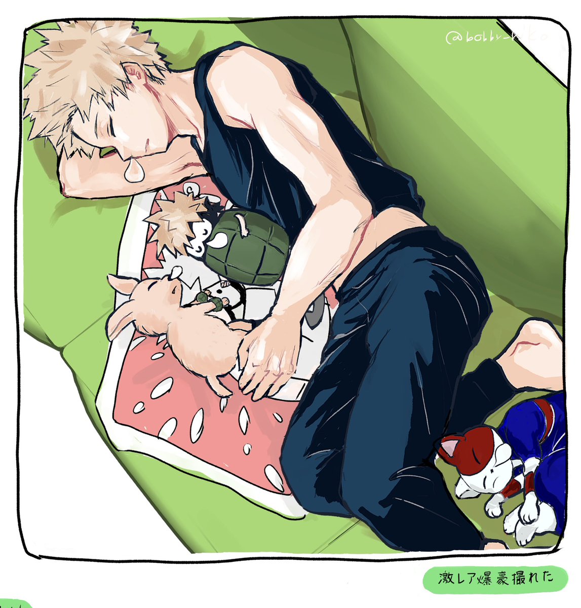 bobby_riko's tweet image. 安眠祈願爆豪とだいなまちゃんと犬と猫