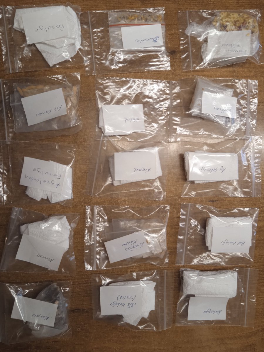 Şile Agroekoloji Uygulama Alanı Tohum Ambarı'na tohum destekleri sürüyor.  Ağın Kadınları Tarımsal Kalkınma Kooperatifi'ne gönderdikleri tohumlar için teşekkür ediyoruz. Tohumları dayanışma ile çoğaltıp saklayarak ve takas ederek koruyabiliriz. 
#tohum #gıdaegemenliği #kooperatif