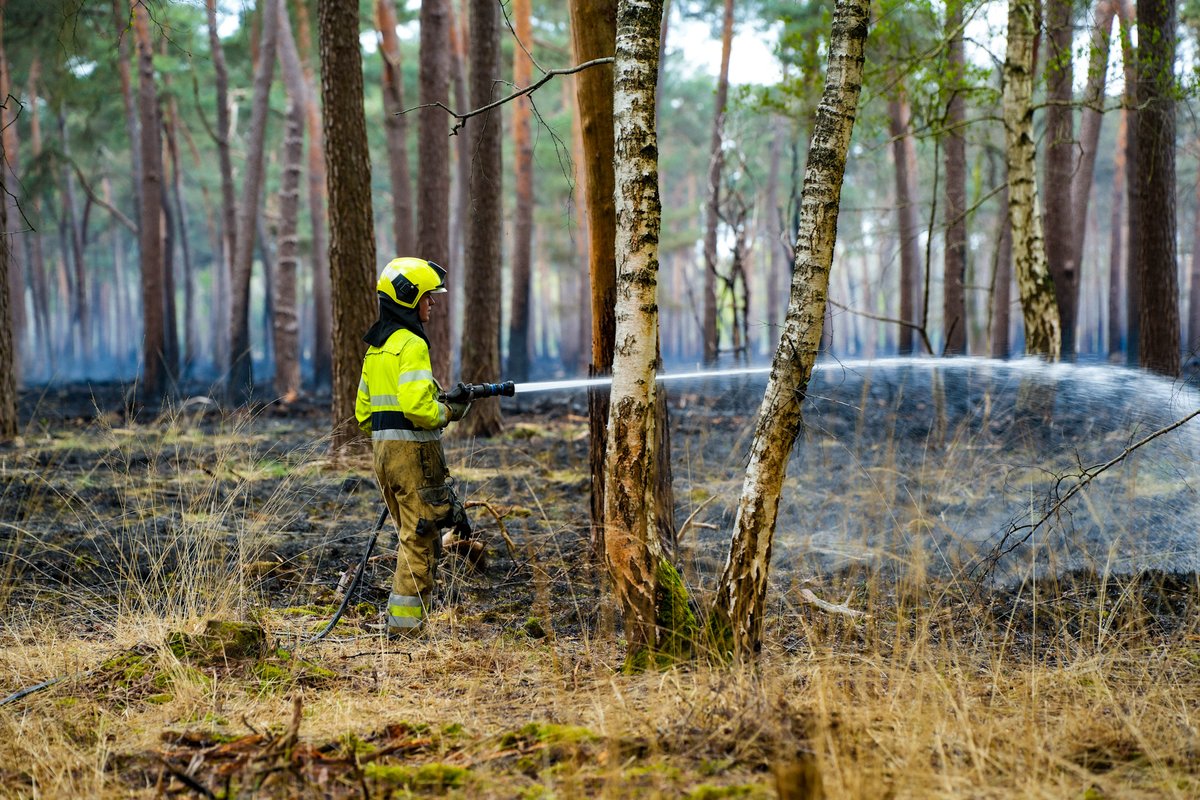 Bosbrand in Drunen opnieuw aangewakkerd