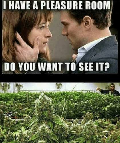 When your idea of pleasure is OG Kush, not BDSM.

Priorities, bro.