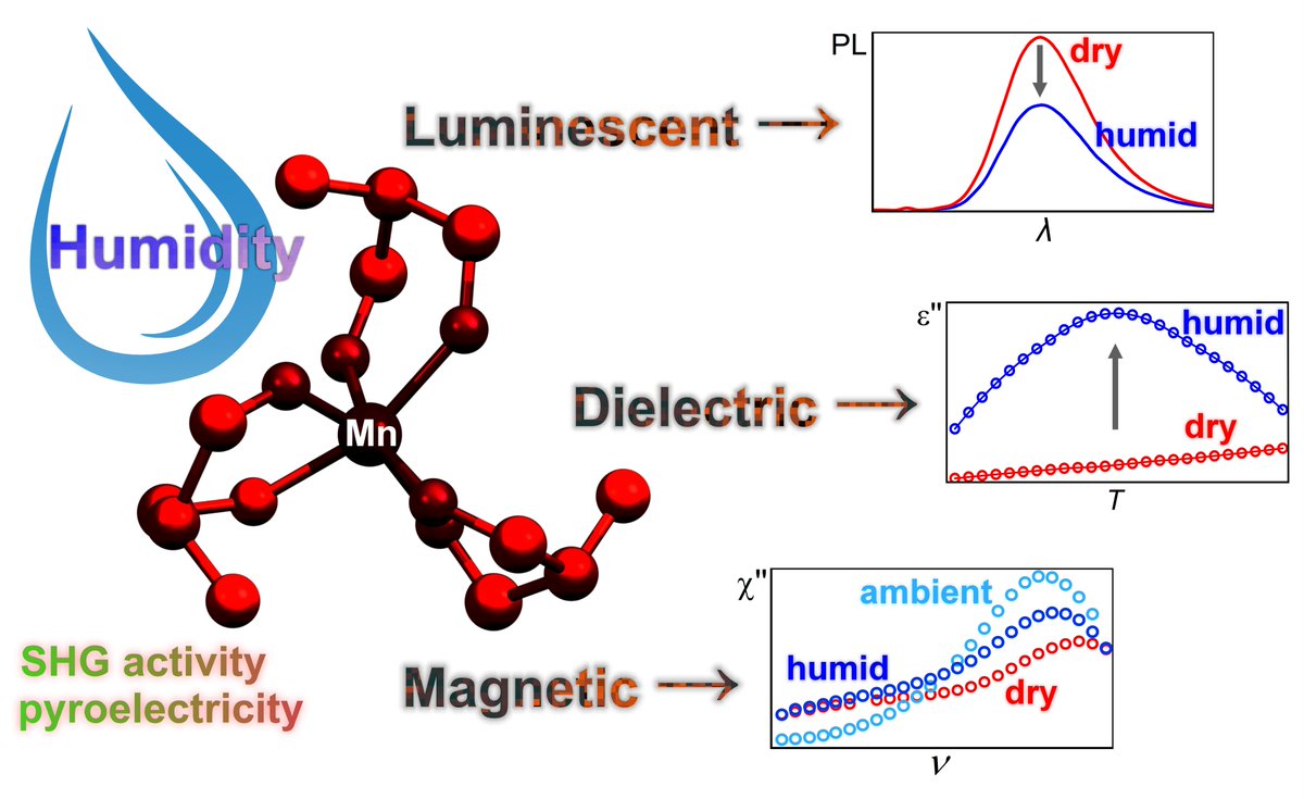 Multifunctional Luminescent Materials Group (MLMG) (@multilumimater) on Twitter photo Check out our article just published in <a href="/ChemicalScience/">Chemical Science</a>: pubs.rsc.org/en/content/art… We report a multifunctional molecular material combining polarity, represented by SHG activity and pyroelectricity, with triple luminescent-dielectric-magnetic responsivity to humidity variation ☺️ Check out our article just published in <a href="/ChemicalScience/">Chemical Science</a>: pubs.rsc.org/en/content/art… We report a multifunctional molecular material combining polarity, represented by SHG activity and pyroelectricity, with triple luminescent-dielectric-magnetic responsivity to humidity variation ☺️