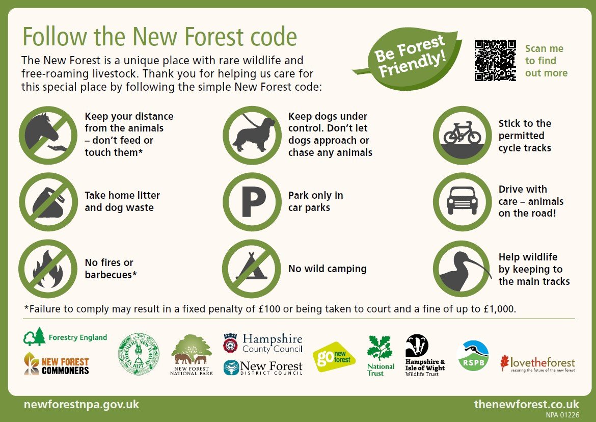 The New Forest is a special place - and together, we can keep it that way. From taking litter home to giving animals space, the New Forest Code helps protect what we all love.

Follow the Code: bit.ly/3qbF672