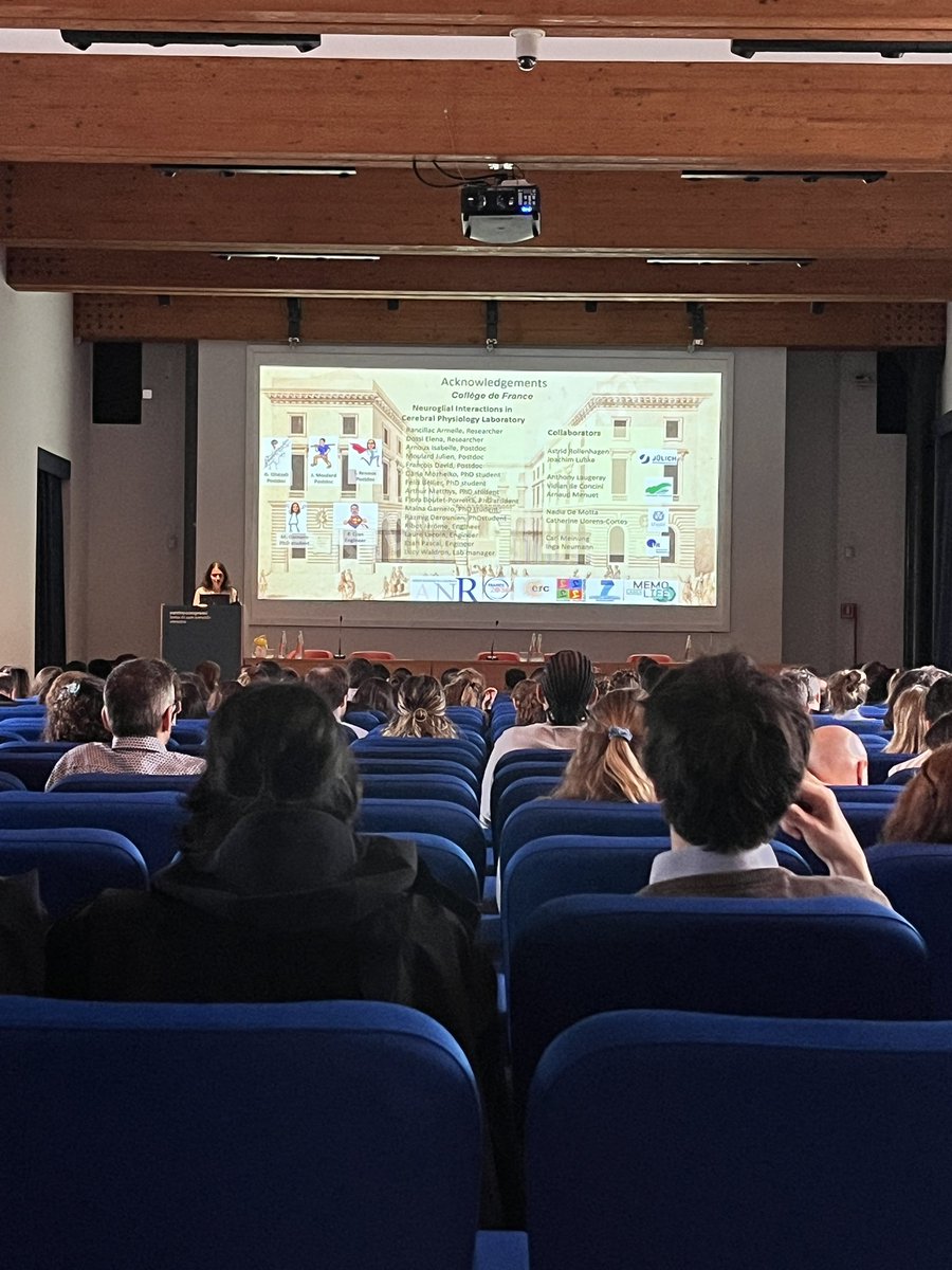 Synapse Biology Group | NCBio ERA Chair @i3S_Porto (@astrocytesrus) on Twitter photo Beautiful talk by <a href="/NathalieRouach/">Nathalie ROUACH</a> on neuroglial circuit for maternal behavior 👏
#EMBOastrocytes Beautiful talk by <a href="/NathalieRouach/">Nathalie ROUACH</a> on neuroglial circuit for maternal behavior 👏
#EMBOastrocytes
