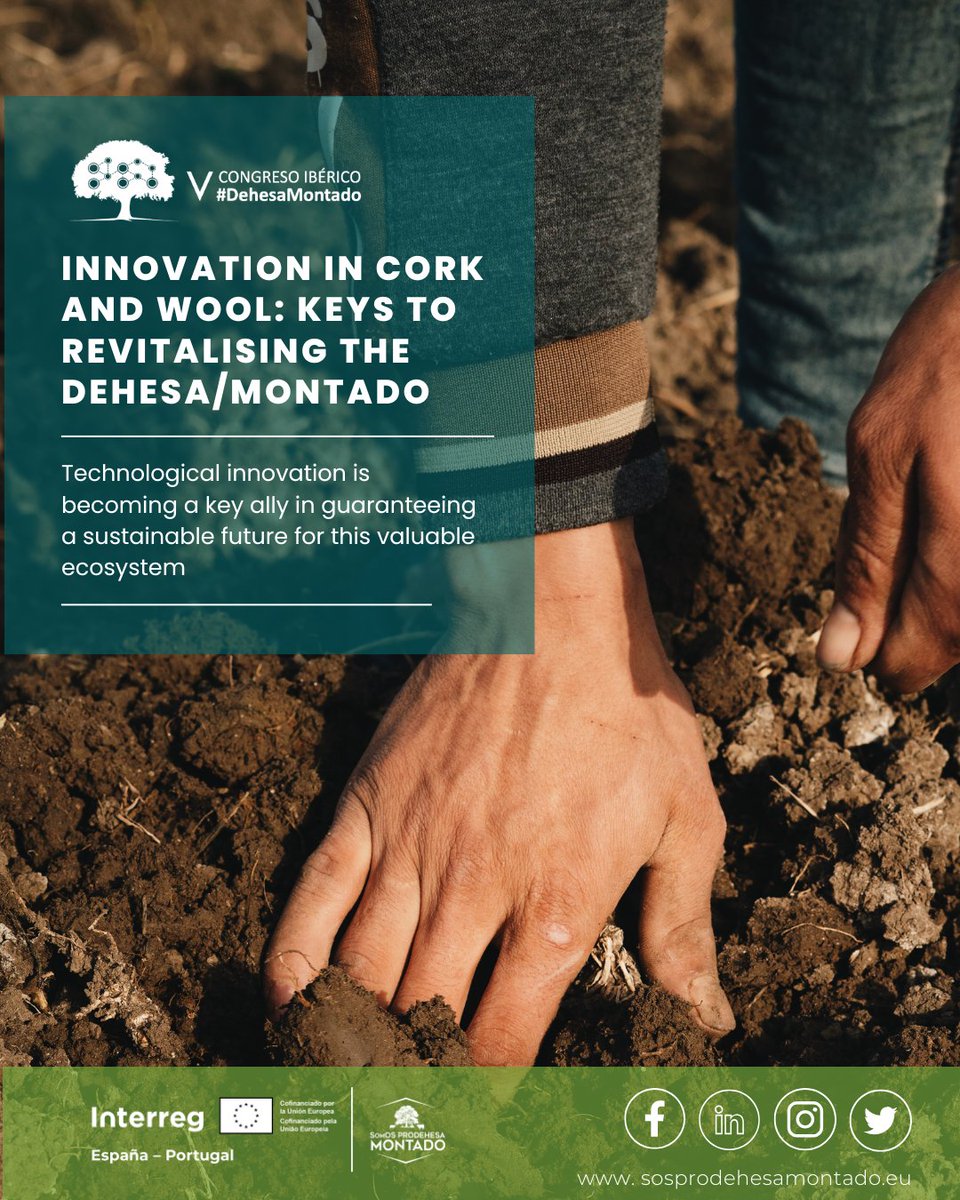 sosprodehesa's tweet image. The @CongresoDehesa explored technological tools that help optimise the resources of the dehesa
📢 Relive all the presentations on the conference website! 👉 congresodehesamontado.com