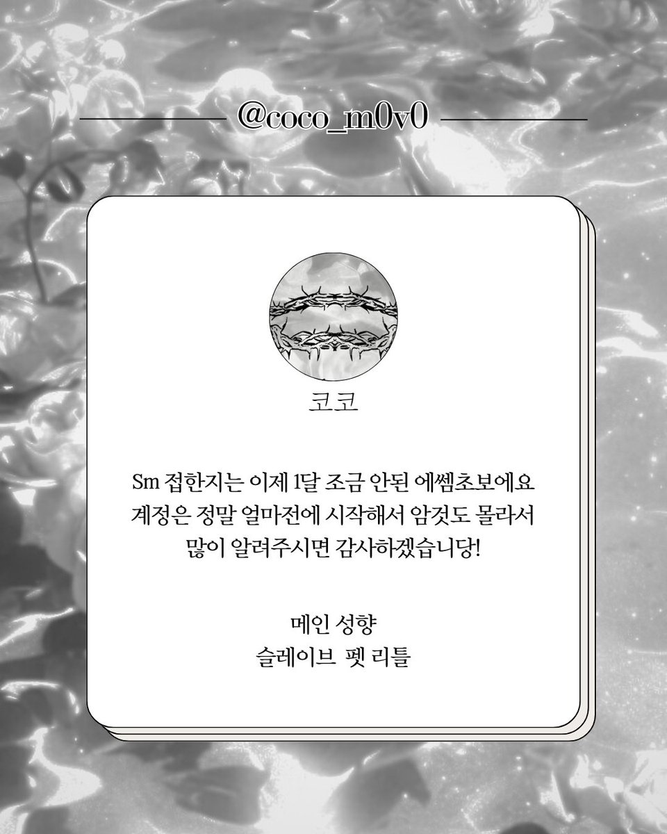 coco_m0v0's tweet photo. 접한지 ��마안된 초보로써 많이 알려주시면 감사하겠습니다 
반모 하실 에쎔계 분들 계신가용..?
#에쎄머_트친소
#에세머_트친소 https://t.co/1pI46kig6G
