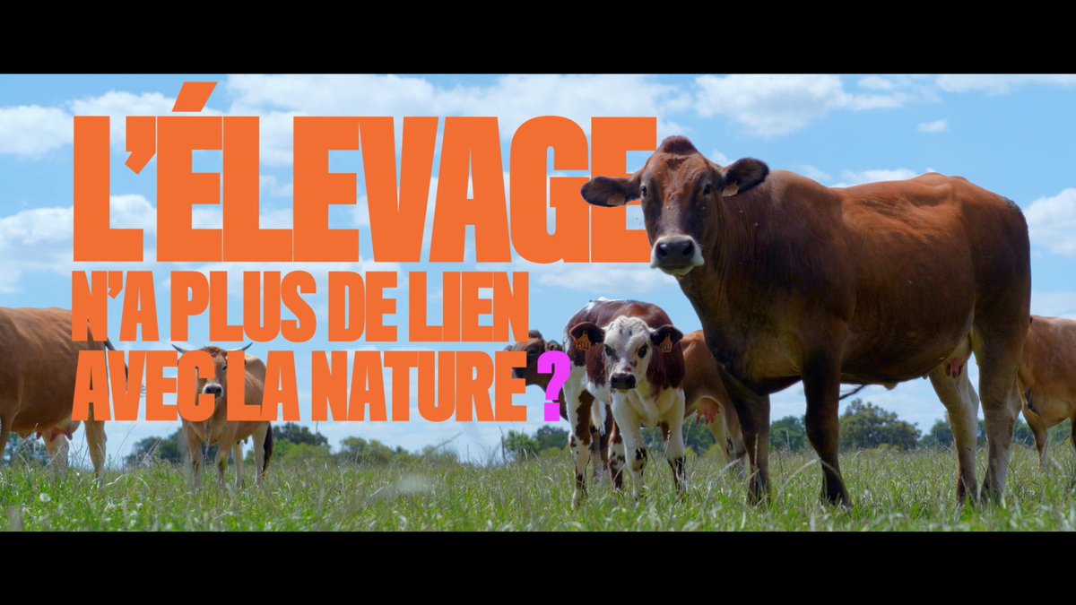 Aujourd'hui, on entend tout et son contraire sur l'élevage... Alors qui mieux que les éleveurs et ceux qui les entourent pour faire le point et répondre à nos questions.

INTERBEV s’associe à la CNE, au CNIEL et à l’ANICAP pour soutenir le nouveau programme de TF1 sur l’élevage