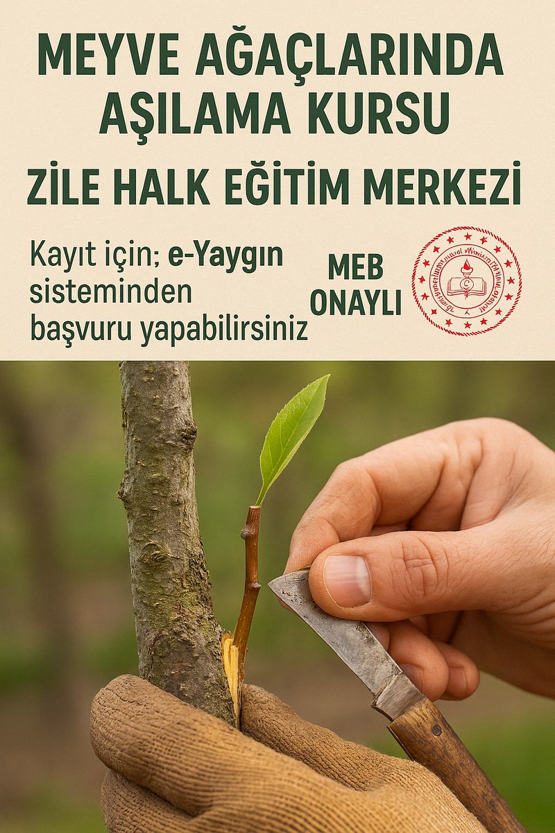 zilehemm's tweet photo. Zile Halk Eğitim Merkezi ve Zile İlçe Tarım ve Orman Müdürlüğünün işbirliğinde, MEYVE AĞAÇLARINDA AŞILAMA kursu açılmıştır. Kurs, 21 Nisan 2025 Pazartesi günü başlayacaktır. Kurs kayıtlarınızı e- yaygın sistemi üzerinden yapabilirsiniz. https://t.co/s5b5uRuBuz
