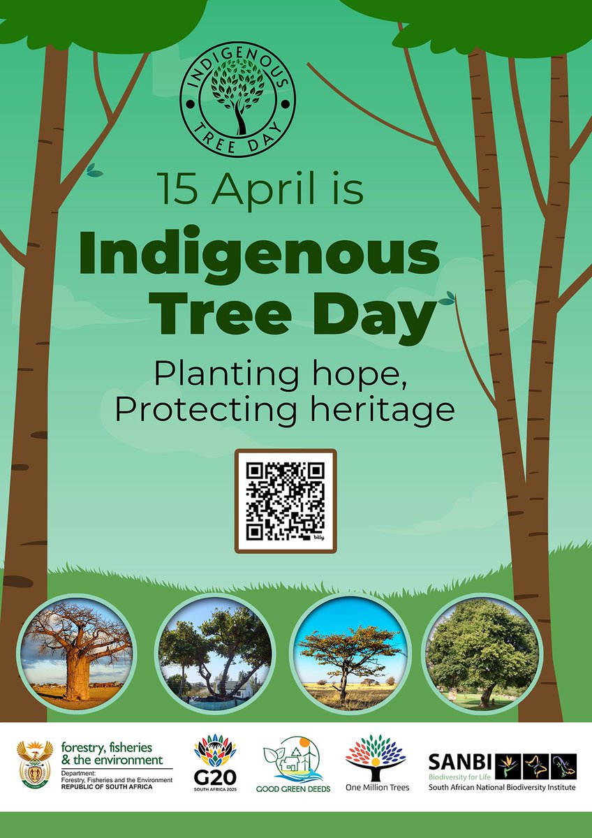 environmentza's tweet image. 🌳𝗛𝗮𝗽𝗽𝘆 𝗜𝗻𝗱𝗶𝗴𝗲𝗻𝗼𝘂𝘀 𝗧𝗿𝗲𝗲 𝗗𝗮𝘆!🌳

Join us in celebrating the beauty, resilience and ecological importance of our native trees! 

Let’s honor the roots of our land and plant trees for a greener future!

#ProtectOurTrees #TreesOfOurLand