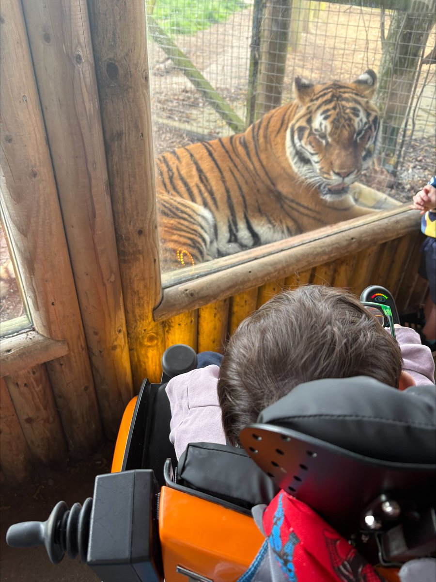 Fabulous Grant awarded!

Ayaz, aged 4, has been diagnosed with a rare genetic condition that affects his muscles and joints. His joints are contracted in flexion and he is unable to stand or walk independently - We have purchased a bespoke Tiny trax motorised wheelchair for Ayaz.