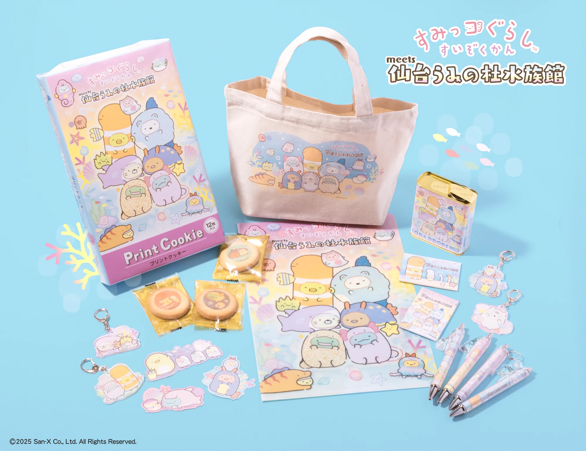 仙台うみの杜水族館公式 on X: 