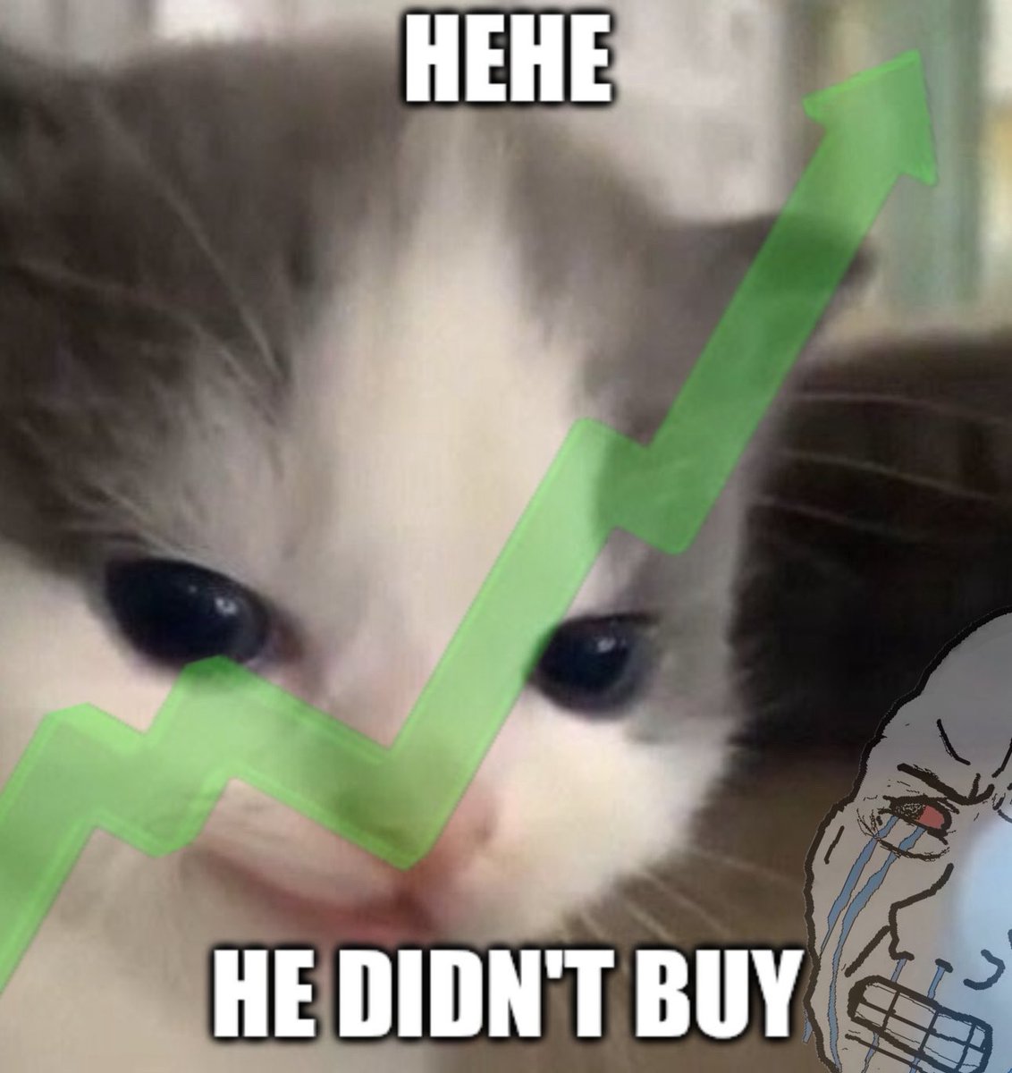 CcoCiccio's tweet photo. $HEHE at $3M MC? Listed on https://t.co/NSDqZUOaJN? Thatโs a recipe for 30x potential. Smart moneyโs already sniffing around this cat coin. Best play in crypto today, hands down! #HEHE #CryptoMoon #LowCapKing https://t.co/Q7ue8dJJDm