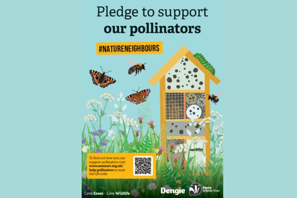 Dengie is backing Essex Wildlife Trust’s Nature Neighbours campaign, encouraging people to support wildlife by creating habitats for pollinators, toads, and hedgehogs in their gardens and green. bit.ly/42fbYwb #dengiehorsefeeds #essexwildlifetrust #sustainability