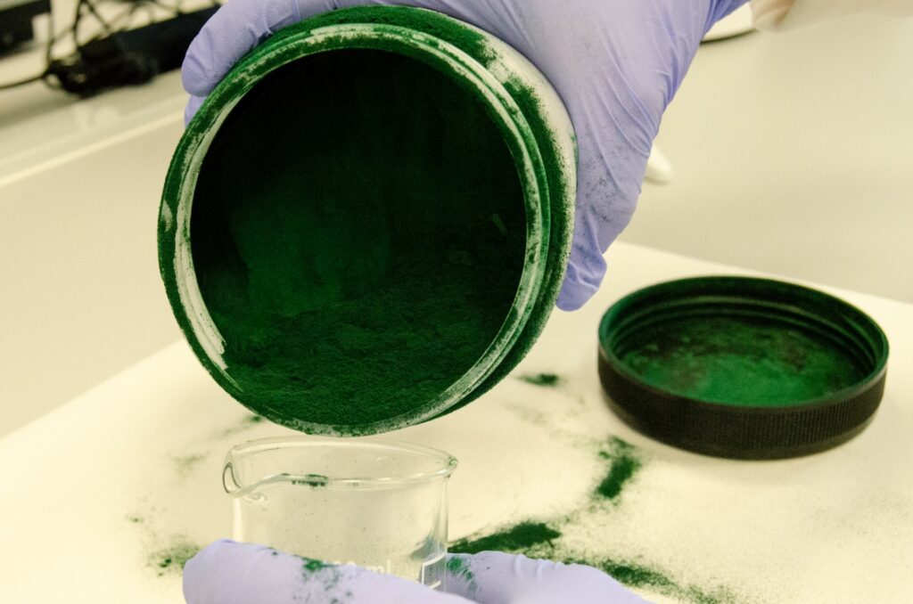 🔬🪸 Un estudio demuestra el poder de #microalgas como #bioestimulantes para el crecimiento, floración y salud de los #cultivos.

➡️ aenverde.es/microalgas-alm…