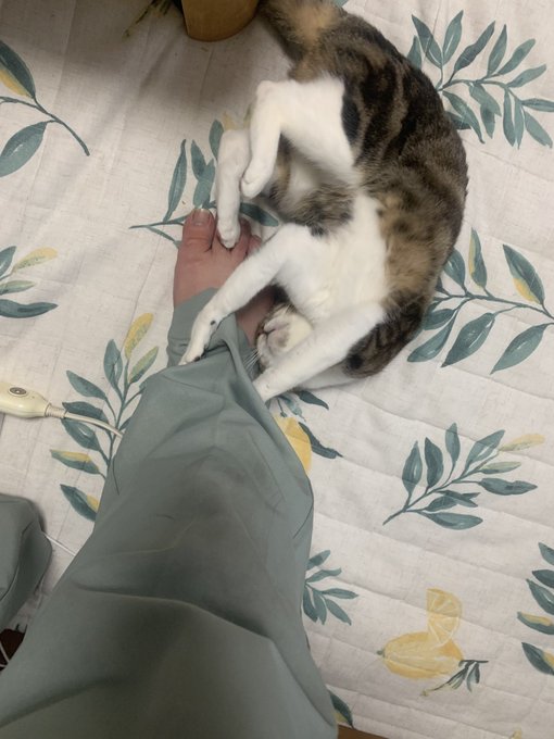 ๅธฐๅฎ
ๆฉใ
ใ็ซๆฐใซ่ฅฒใใใฆใใพใใ